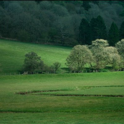 cuntalicious5's profile picture. 