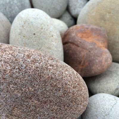 Geo212824171's profile picture. Pebble