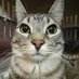 PIM (@pastel465) Twitter profile photo PIM (@pastel465) Twitter profile photo