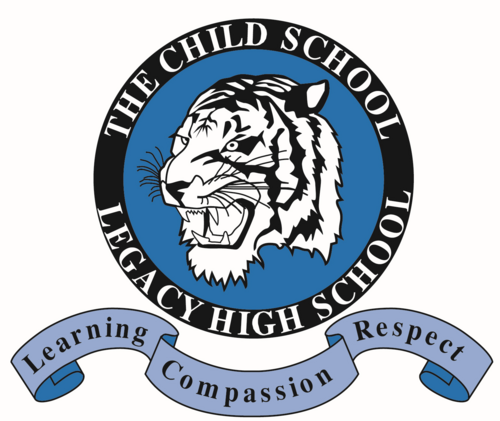 The Child School Profile