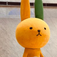 NUT (@nutto_f2) 's Twitter Profile Photo NUT (@nutto_f2) 's Twitter Profile Photo