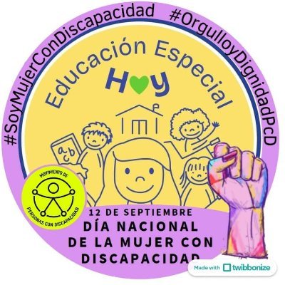 Red por la Inclusión y la Justicia Educativa AC
#EnDefensaDeLaEducaciónEspecial