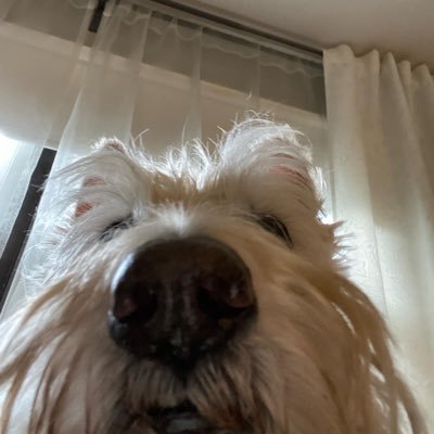 Nathan Profile