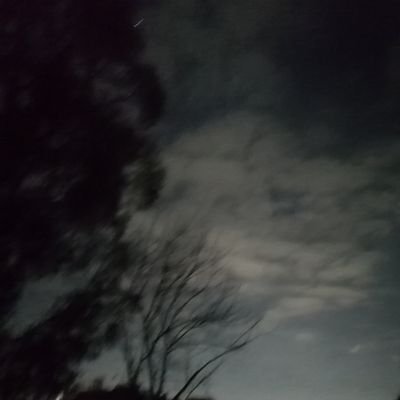 solwankoo's profile picture. 🦩
CIS|MU ~4 ◔◔