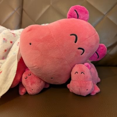 👧🏻🩰2020.10生→2023塾なし幼受→附属園年中・外部受験予定/👶🏻🚗2025.6生/生活リズム原理主義/早期教育や知育はしない方針/お受験未経験の帰国子女夫婦🇫🇷🇺🇸/フルリモWM(育休中)
