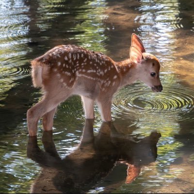 Alaa_Fit's profile picture. Left-handed Pharmacist