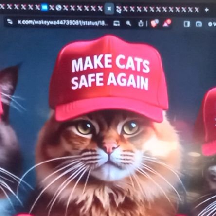 cutekitten70's profile picture. God's word is a lamp unto my feet, a light unto my path