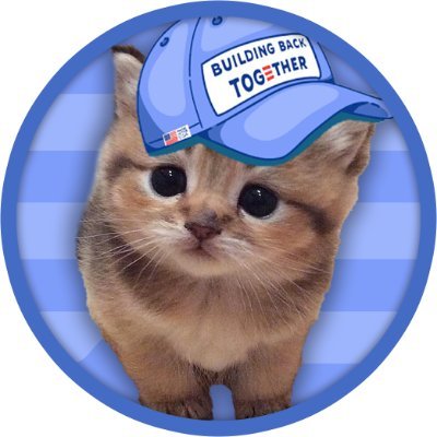 CAPTOSAPT's profile picture. jus a smol cat on aptos