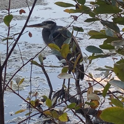 _niallwalsh's profile picture. glad to be here