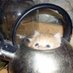 невук (@nc_17_10) Twitter profile photo невук (@nc_17_10) Twitter profile photo