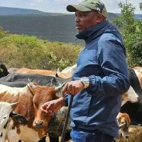 Opposition (@opposition3729) 's Twitter Profile