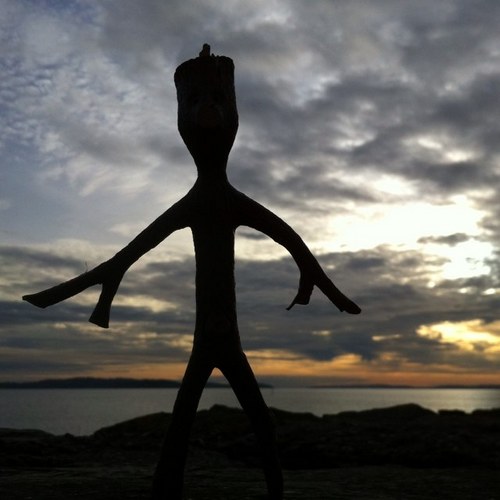 roarvike's profile picture. 