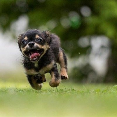 副業の成功法を共有中。副業を始めてみたい人にお得な情報を提供。わずかですが10万円プレゼント企画も実施中♬ なくなり次第終了➡ https://t.co/E54L3btOW3