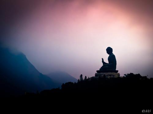 TheRealSammish's profile picture. 