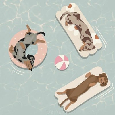 Wondertimesss's profile picture. 