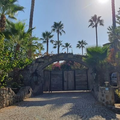 Nesss__78's profile picture. Noord-Brabant