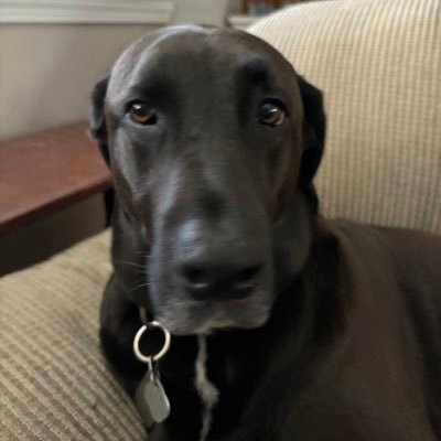 direktorbino's profile picture. TV Director in Boston; I never know what else to write here.