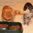 e46pmcwlboxj's profile image