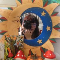 Clö Léon 🐸🌞 (@funkyclops) 's Twitter Profile