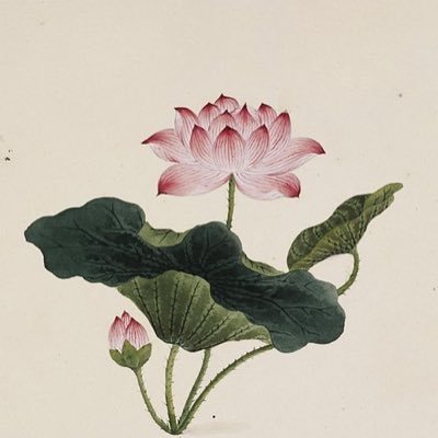 wantToempty's profile picture. Interesting in creativity