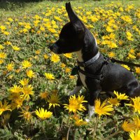 Logan Shaw (@loganwrotethis) 's Twitter Profile Photo Logan Shaw (@loganwrotethis) 's Twitter Profile Photo