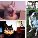 Daniela Conti - @conti_dani - Twitter