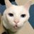 ChArLiE_D_R_X's profile image