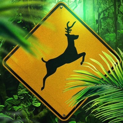 ellow Bucks on X: ellow Bucks on X: