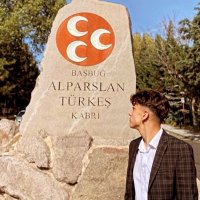 Efe (@efee_avciii) 's Twitter Profile