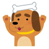 ふじおか (@mdmsf80) 's Twitter Profile Photo ふじおか (@mdmsf80) 's Twitter Profile Photo