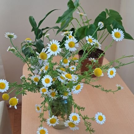 mesut45434543's profile picture. 