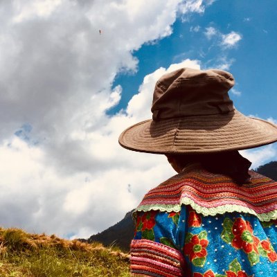 xuantruong89's profile picture. Tech Investor: $BTC, $ETH, $ADA, A.I