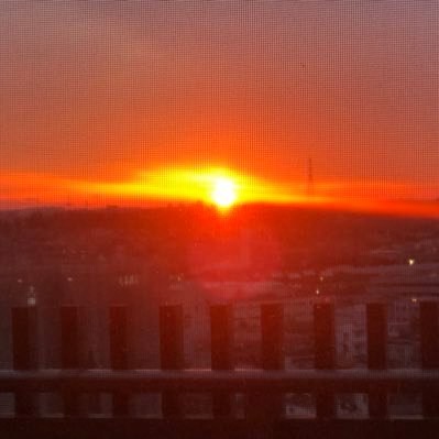 KodamaTanko's profile picture.