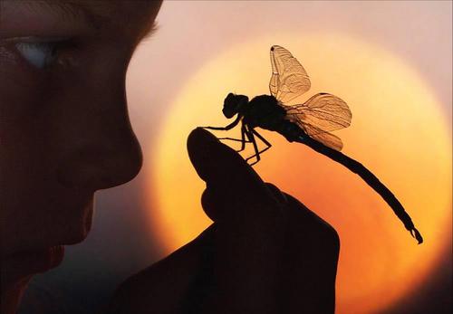 babu_wimike's profile picture. 