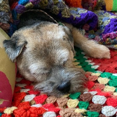 Former NHS Community Psychiatric Nurse, after 25 years, looking for a new journey. #vegetarian #booklover #animallover #artslover #footballlover #redwinelover