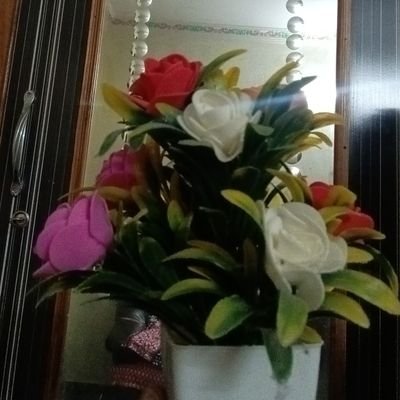 vsreedharr63019's profile picture. 