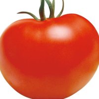 リコピン (@tomatonobitamin) 's Twitter Profile Photo