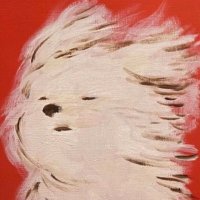 brrr #WHIPLASH (@xunnieyx) 's Twitter Profile Photo