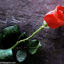 debra irwin - @debsirw - Twitter