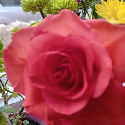 annpmayne's profile picture. 