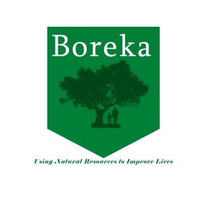 BorekaGroup's profile picture. Boresha Maisha na Boreka!
Boreka is a Commercial Forestry and Nature Based Solutions Organization accelerating climate action through African communities