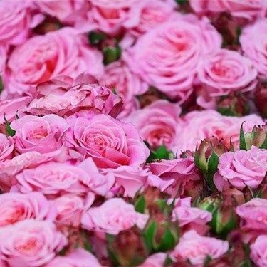 miyako193496's profile picture. 副業で収入を増やすコツを紹介中。副業を始めたい人にお得な情報を提供。わずかですが現金プレゼント企画も実施しております。 なくなり次第終了▷ https://t.co/lilCsPtQWf