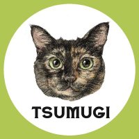 サビ猫の月麦 (@tsumugi_0260) / X