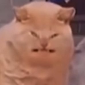 beanieieatbeans's profile picture. I LOVE THE JUNKERSSS FROM OVERWATCH AHHH I’m currently 17, I turn 18 in oct, and I post art and OW reposts (mainly junkrat)