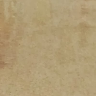 SerenaG97824's profile picture. 