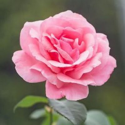 natchathra2806's profile picture. works at  TN treasuries and accounts department.