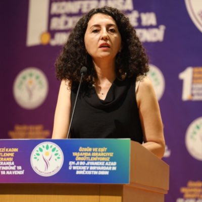 Deputy co-chair of Dem Party & Co-Spokesperson of Foreign Affairs. Hukukçu/Avukat