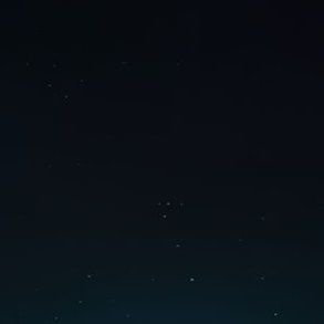 SiaAssgardskaya's profile picture. 