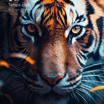 sdaliii's profile picture. hellOword