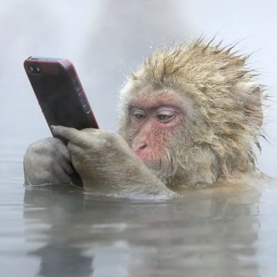 ポロンパカセさんのプロフィール画像